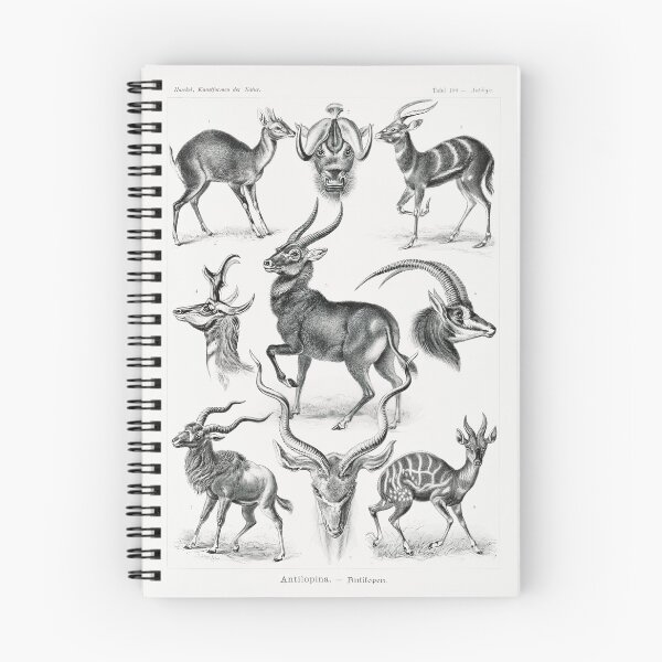 Item preview, Ernst Haeckel Antelopes designed and sold by Quilar.