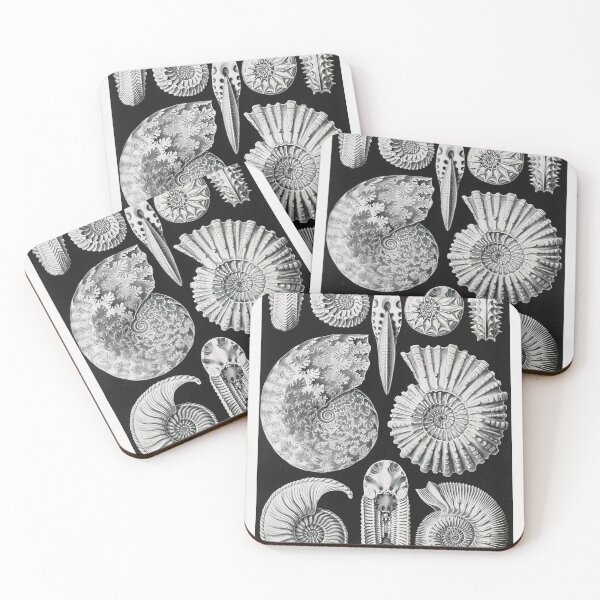 Aperçu de l'œuvre Ammonites d'Ernst Haeckel créée et vendue par Quilar.