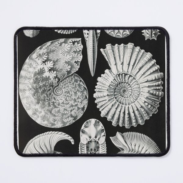 Item preview, Ernst Haeckel's Ammonites designed and sold by Quilar.