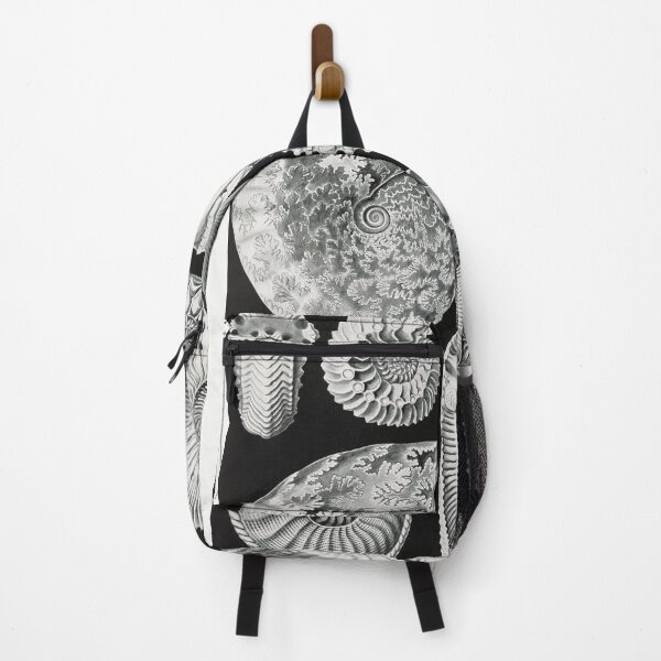 Item preview, Ernst Haeckel's Ammonites designed and sold by Quilar.