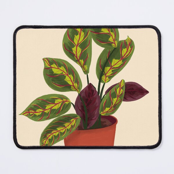Item preview, Prayer Plant designed and sold by MaiZephyr.