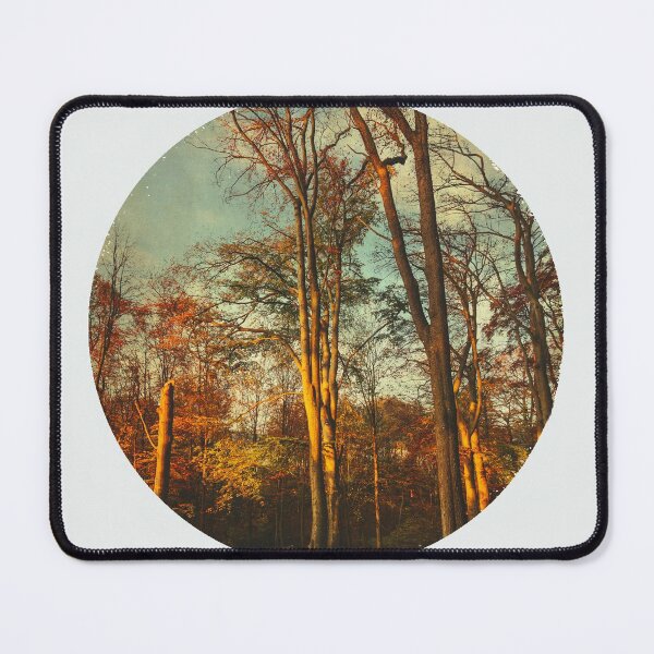 Item preview, Morning Light on Trees designed and sold by Dyrk Wyst Redbubble Shop.