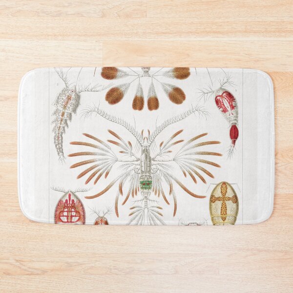 Item preview, Ernst Haeckel Copepod designed and sold by Quilar.