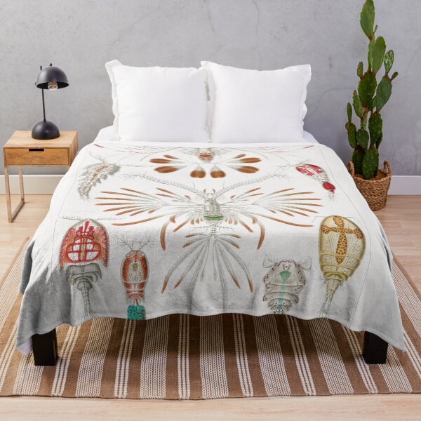 Item preview, Ernst Haeckel Copepod designed and sold by Quilar.