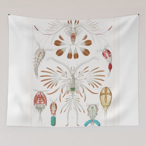 Item preview, Ernst Haeckel Copepod designed and sold by Quilar.