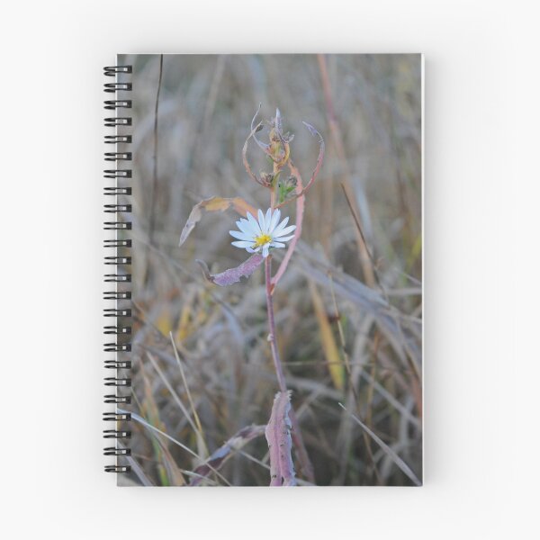 Item preview, Late Bloomer designed and sold by Bree Waltman.