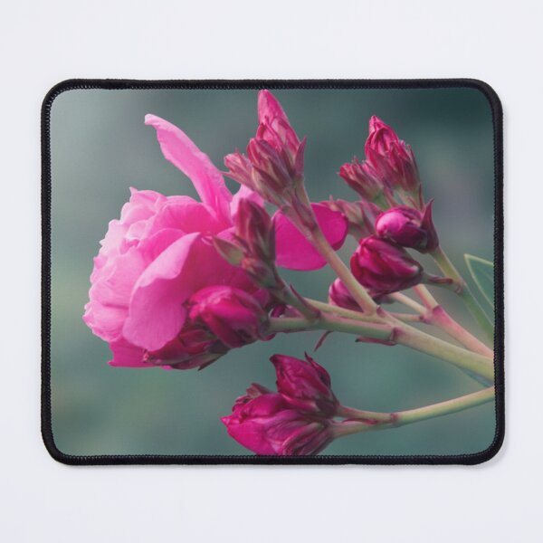 Item preview, Nerium Oleander Pink Flowers designed and sold by mrhighsky.