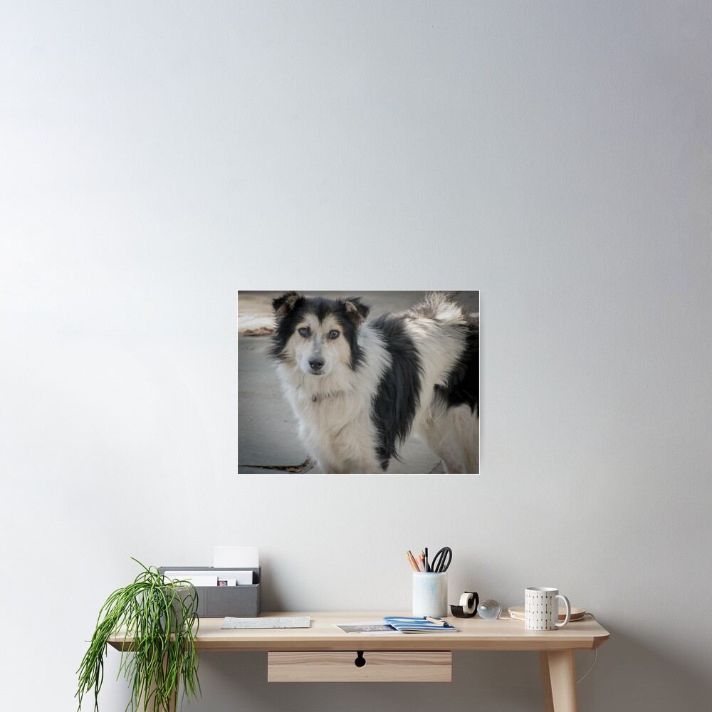 Item preview, Poster designed and sold by Riko2us.