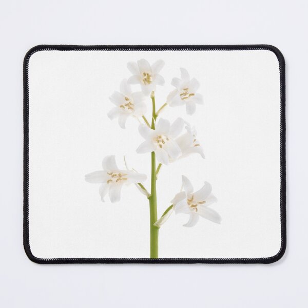 Item preview, White bluebell designed and sold by rheyes.