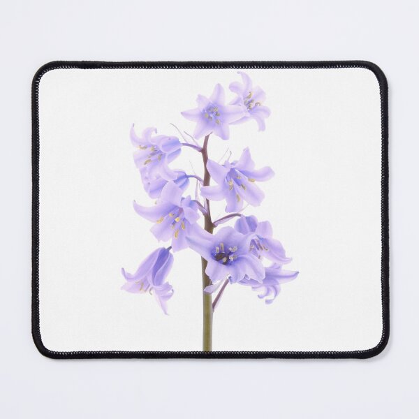Item preview, Bluebell designed and sold by rheyes.