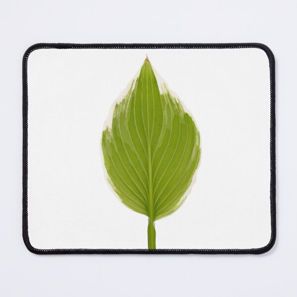 Item preview, Hoster leaf designed and sold by rheyes.