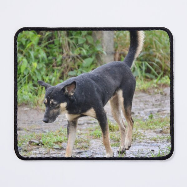 Item preview, Street Dog designed and sold by Capture Room.