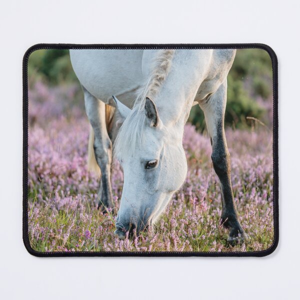 Item preview, Beautiful Grey in the Forest designed and sold by Dalyndigital Photography.