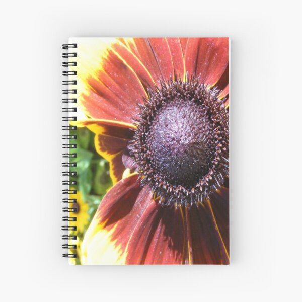 RED SUNFLOWER SEEDS AND PETALS Spiral Notebook