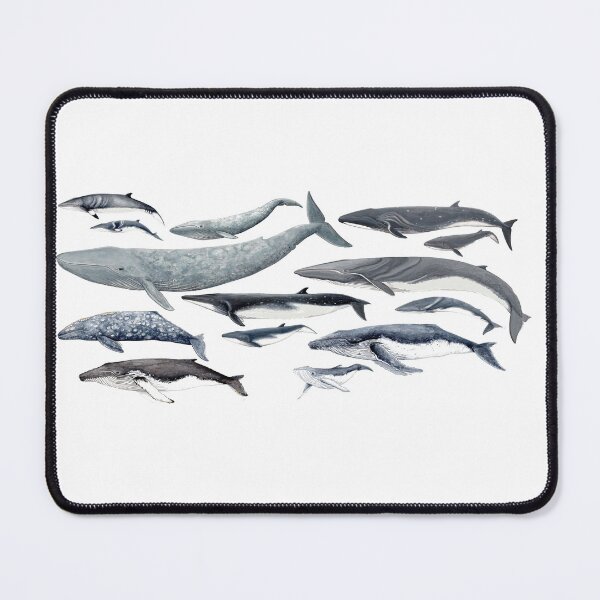Item preview, Whales and baby whales designed and sold by chloeyzoard.