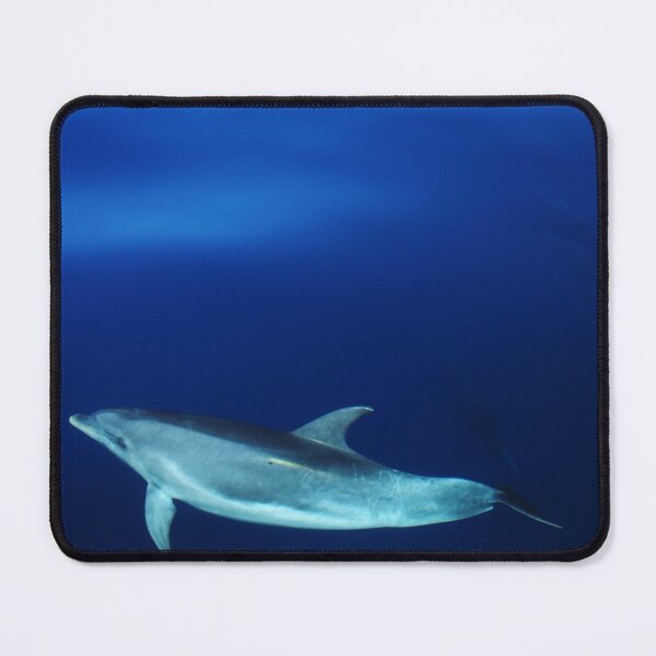 Item preview, Dolphin and blues designed and sold by chloeyzoard.