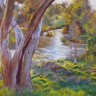 Lost in the Light by Lynda Robinson