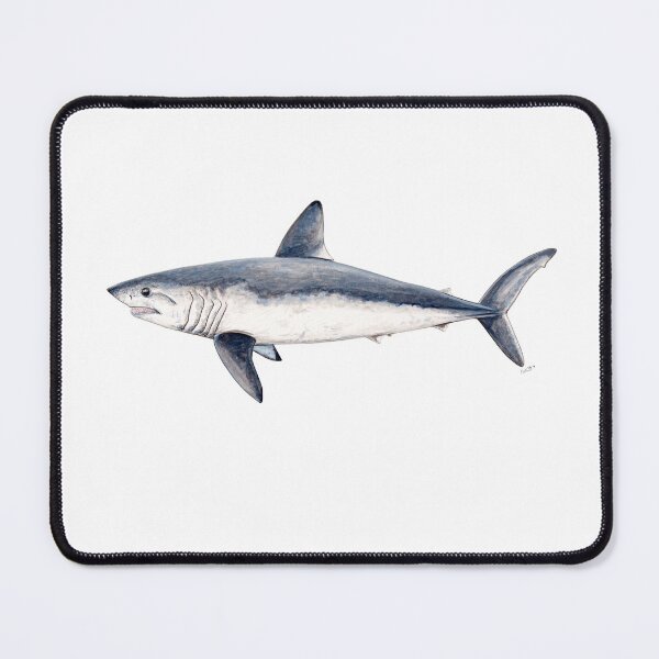 Item preview, Porbeagle shark (Lamna nasus) designed and sold by chloeyzoard.