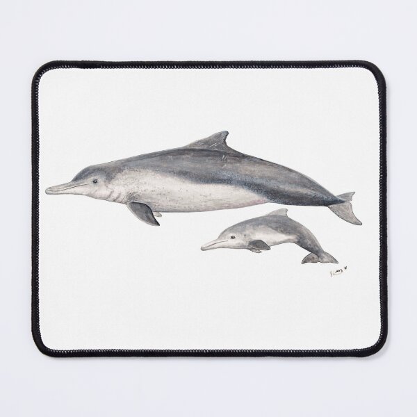 Item preview, Australian humpback dolphin (Sousa sahulensis) with baby designed and sold by chloeyzoard.