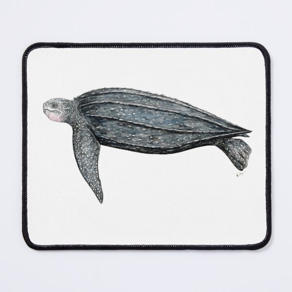 Item preview, Leatherback turtle (Dermochelys coriacea) designed and sold by chloeyzoard.