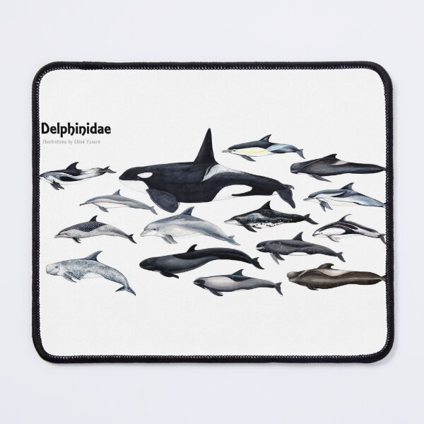 Item preview, Delphinidae: dolphin family designed and sold by chloeyzoard.