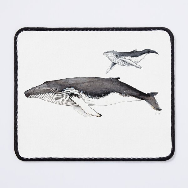 Item preview, North Atlantic humpback whale designed and sold by chloeyzoard.