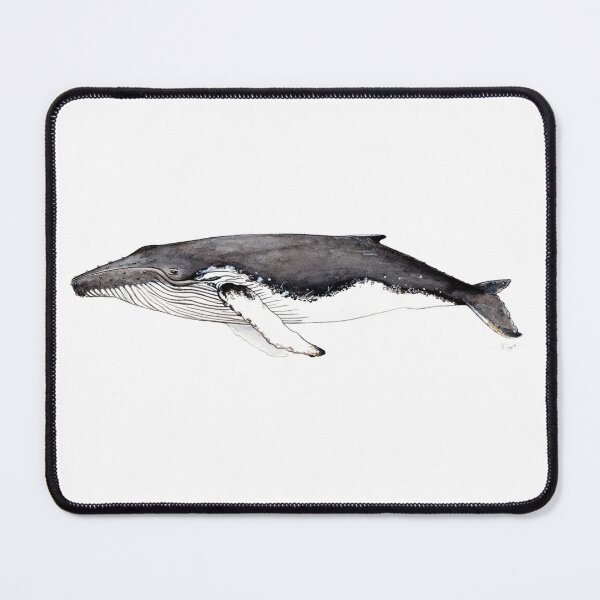 Item preview, Humpback whale designed and sold by chloeyzoard.