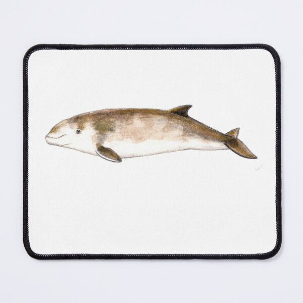 Item preview, Cuvier´s Beaked Whale baby designed and sold by chloeyzoard.