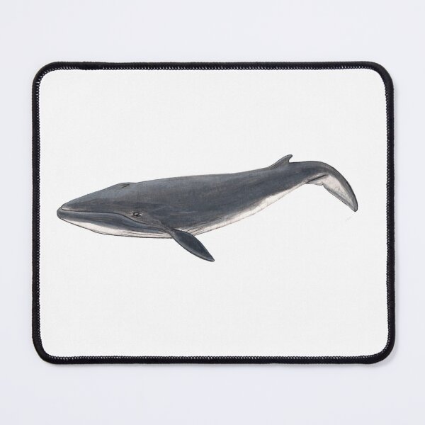 Item preview, Baby Sei whale designed and sold by chloeyzoard.
