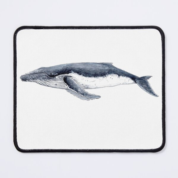 Item preview, Humpback whale (Megaptera novaeangliae)  designed and sold by chloeyzoard.