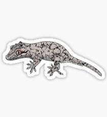 Pegatina Gargoyle Gecko
