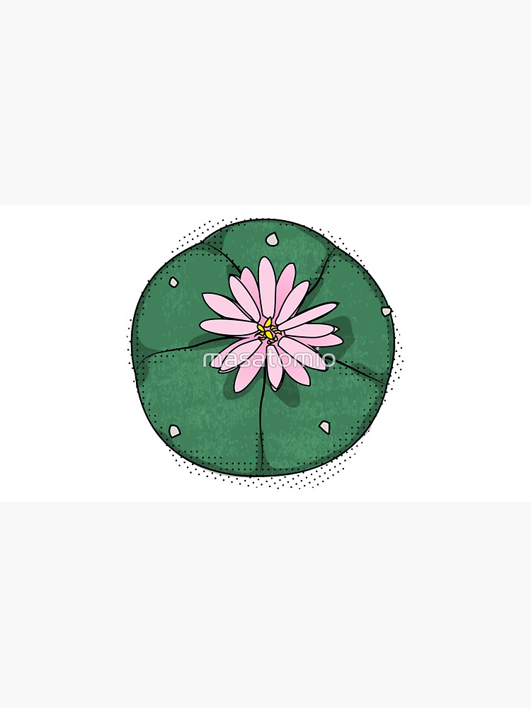 Peyote cactus drawing with flower by masatomio