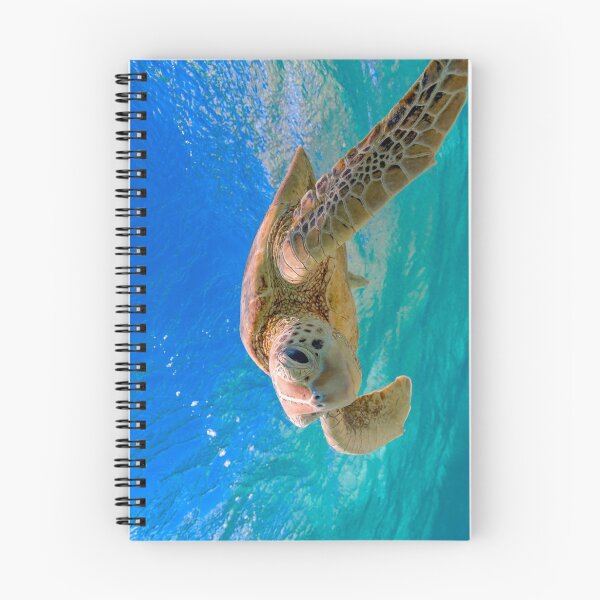 Item preview, Green Turtle in Magical Water designed and sold by colindavisphoto.