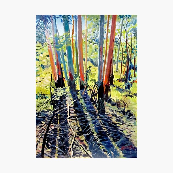 Item preview, Blue Mountains bush walk Series 3 designed and sold by Ian McCourt.