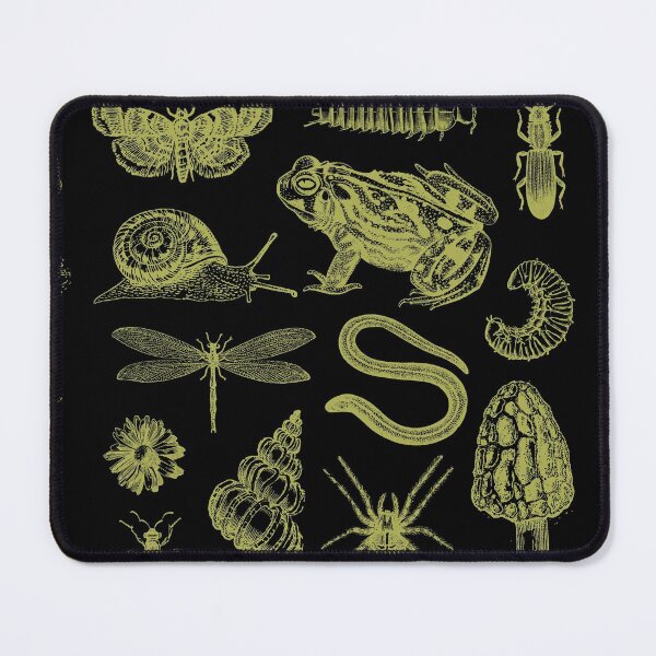 Item preview, Vintage Biology Nature Lover's Collection: Frog, Mushroom, Snail, and Moth Insects in a Science and Natural History Collage designed and sold by MinistryOfFrogs.