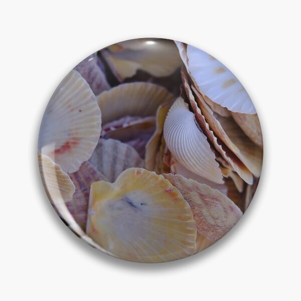 Item preview, Sea shells designed and sold by Kiran-Fine-Art.