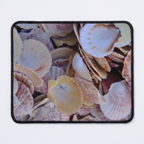 Item preview, Sea shells designed and sold by Kiran-Fine-Art.