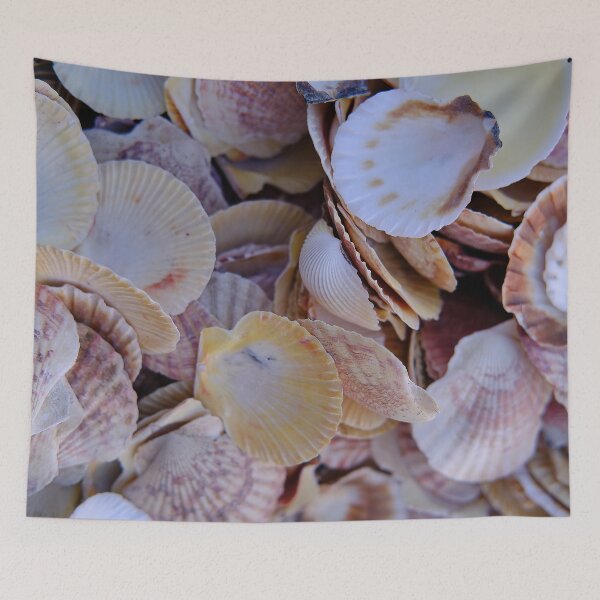 Item preview, Sea shells designed and sold by Kiran-Fine-Art.
