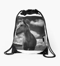 Rural Drawstring Bag