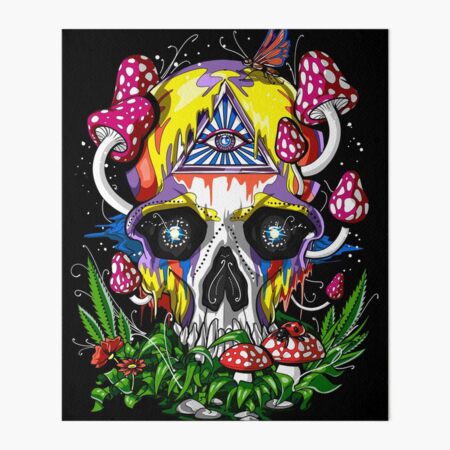 Clendo Mushroom Skull Paint by Numbers for Adults Skeleton Trippy Flower  Plant Paint by Number for