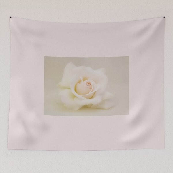 Item preview, Soft Touch Cream Rose designed and sold by AnnDixon.