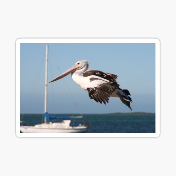 Item preview, Fly Past designed and sold by Leanne Davis.