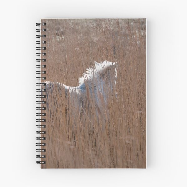 Item preview, Pony in the reeds designed and sold by Mitch  McFarlane.
