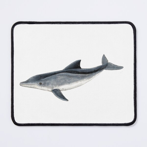 Item preview, Rough toothed dolphin designed and sold by chloeyzoard.