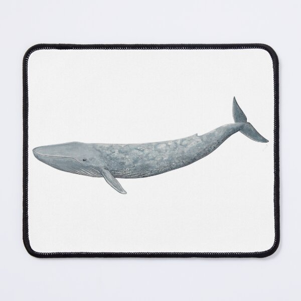 Item preview, Blue whale  designed and sold by chloeyzoard.