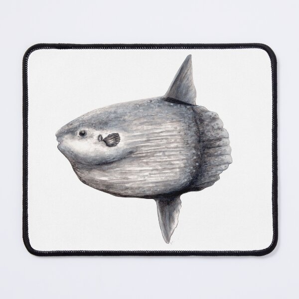 Item preview, Ocean sunfish (Mola mola) designed and sold by chloeyzoard.