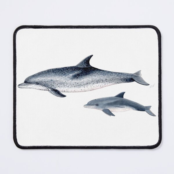 Item preview, Atlantic spotted dolphin designed and sold by chloeyzoard.