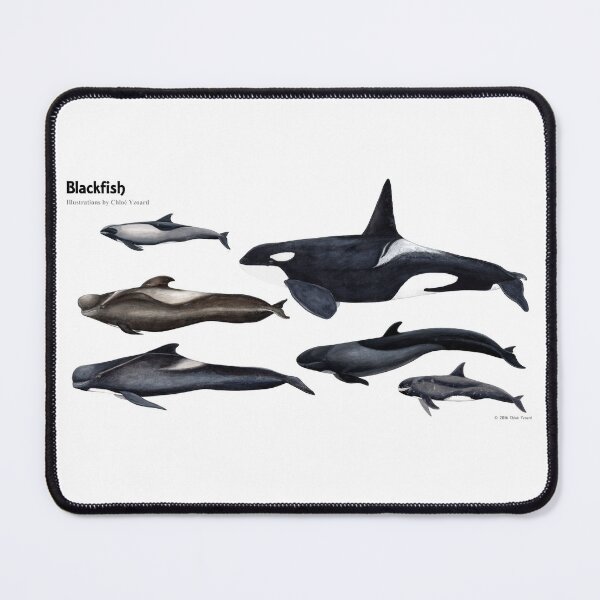Item preview, Blackfish designed and sold by chloeyzoard.