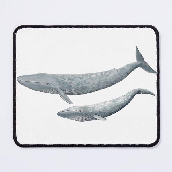 Item preview, Blue whale with baby designed and sold by chloeyzoard.