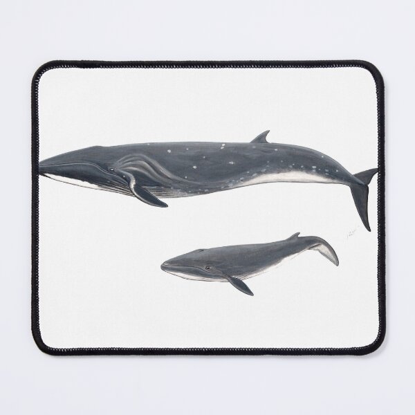 Item preview, Sei whale designed and sold by chloeyzoard.